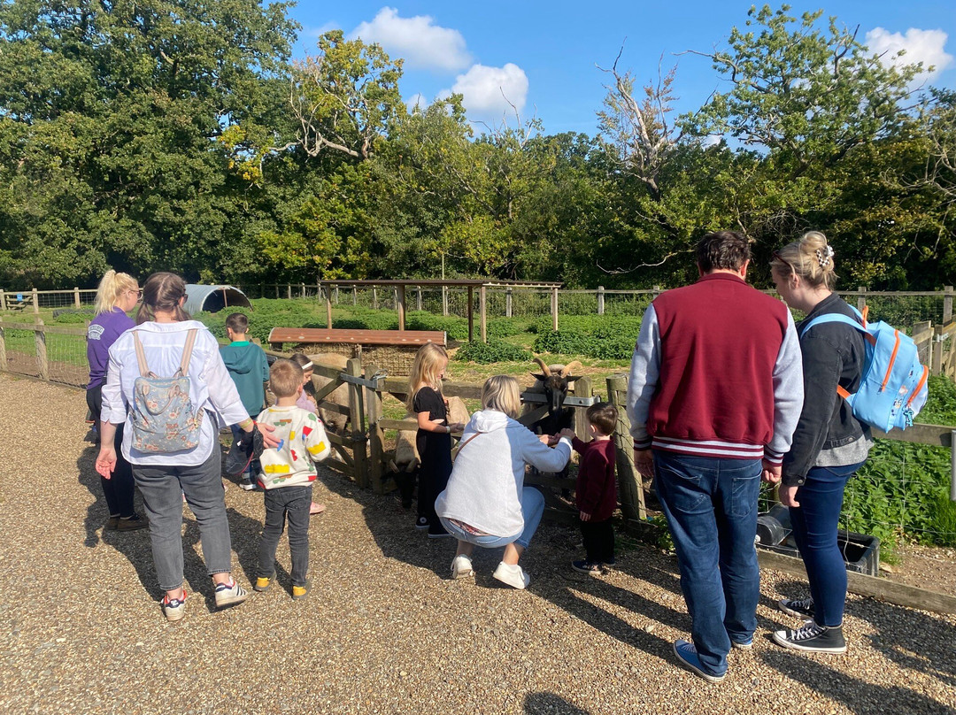 Wroxham Barns-Hoveton必去景点