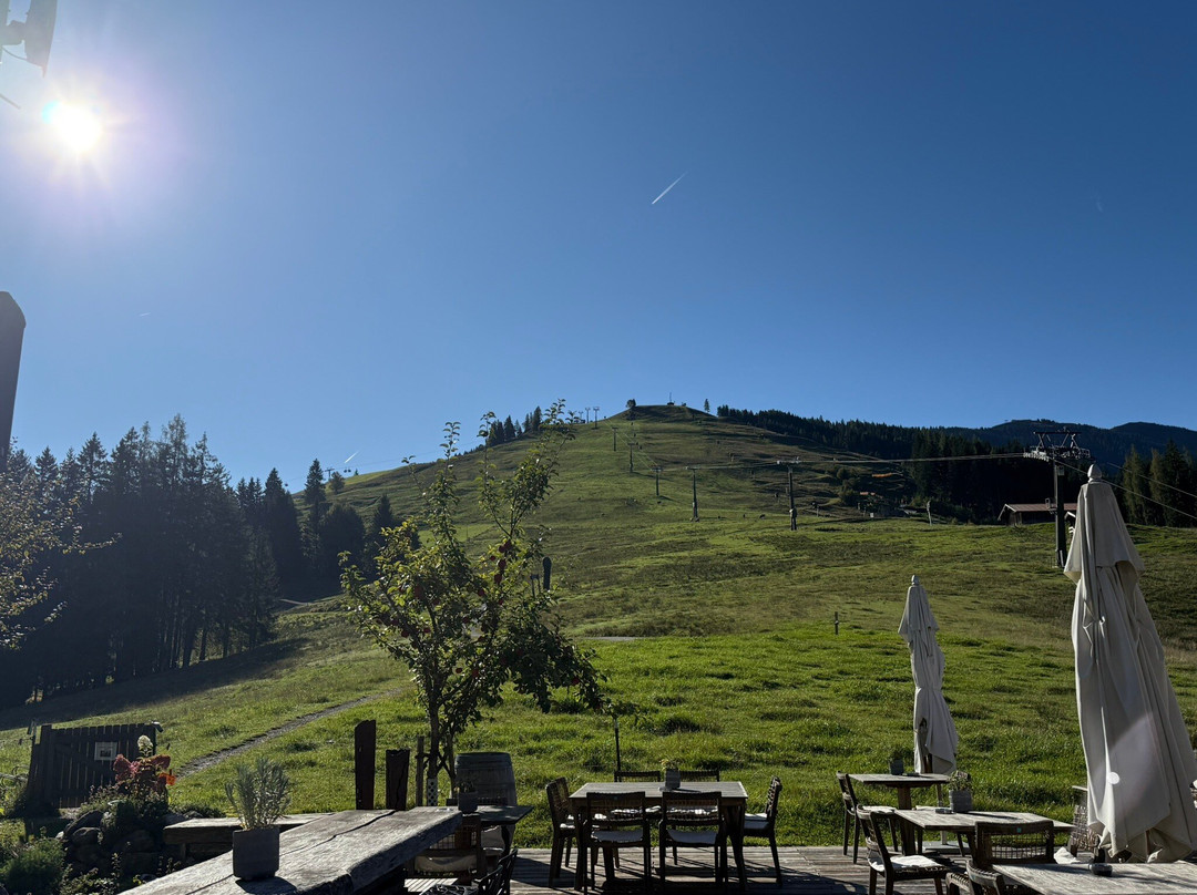 Holzhotel Forsthofalm主图