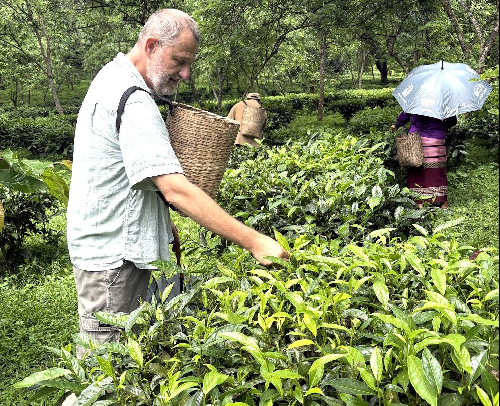 Araksa Tea Plantation - Day Tours-清迈必去景点