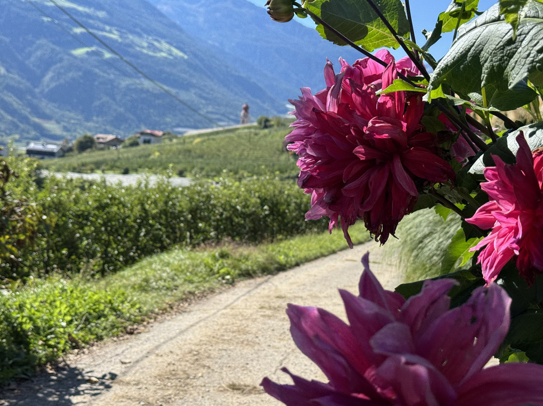 Panorama Hotel Himmelreich主图