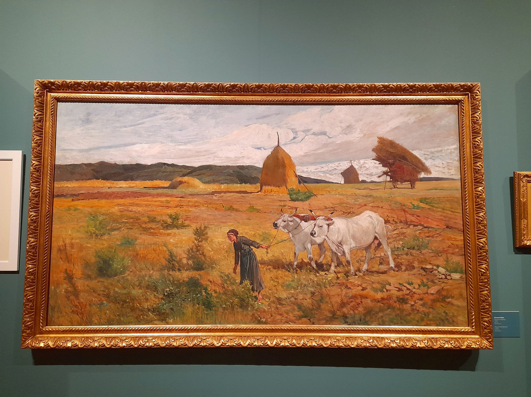 Museo Civico Giovanni Fattori-里窝那必去景点
