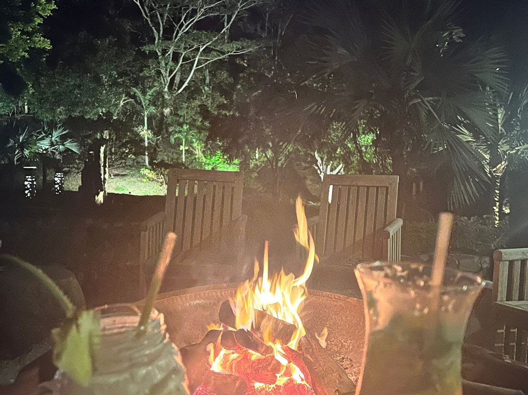 Mahlatini Luxury Travel-Rondebosch必去景点