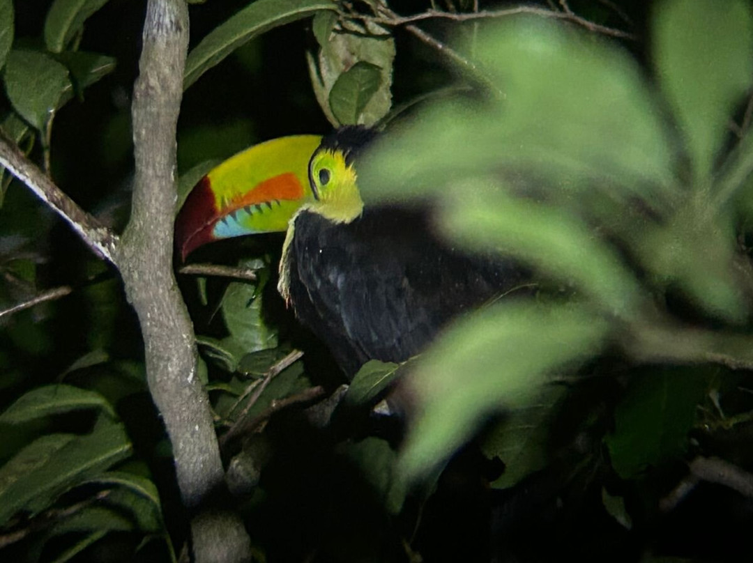 WAKING DREAMS COSTA RICA-圣何塞必去景点