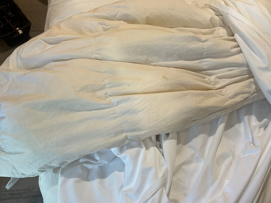 Bel Air Tremblant Resort主图