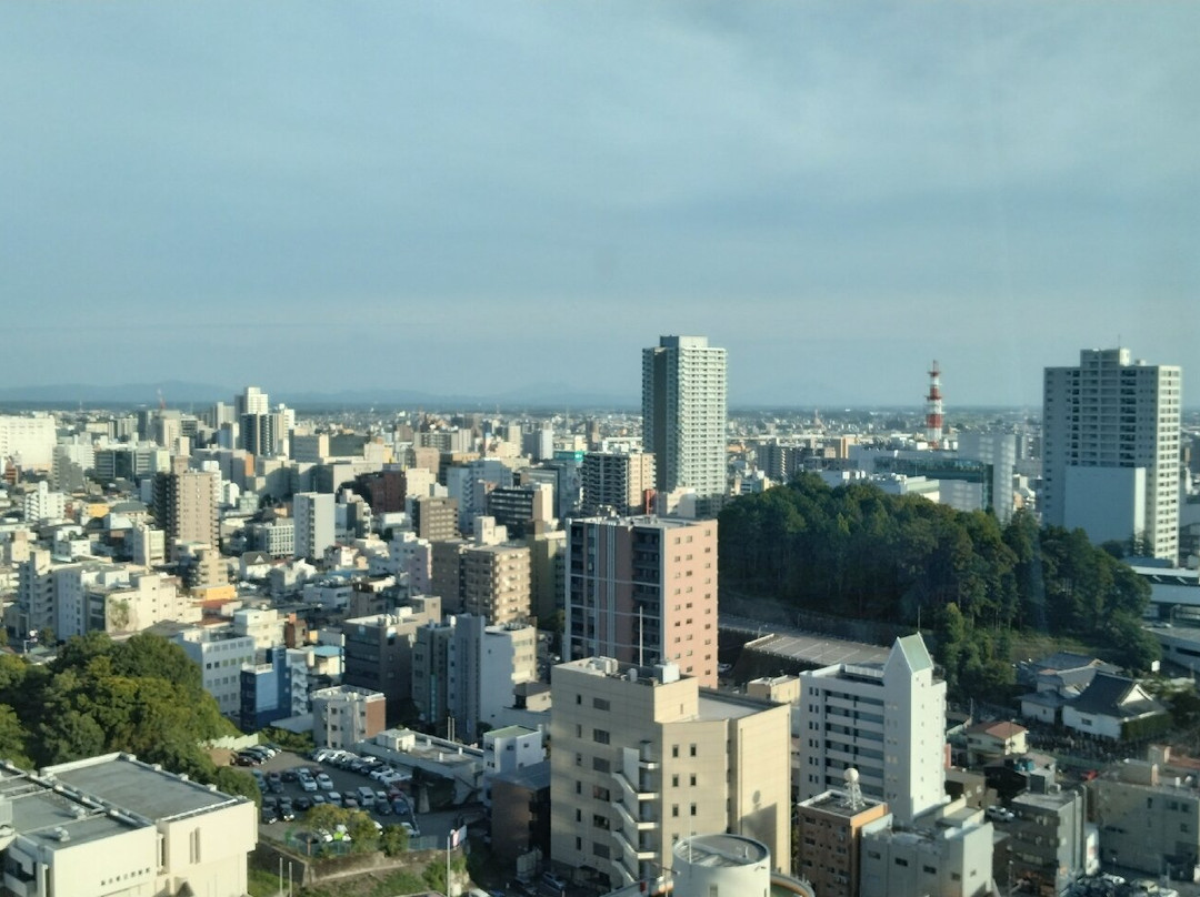 Tochigi Prefectural Office-宇都宫市必去景点
