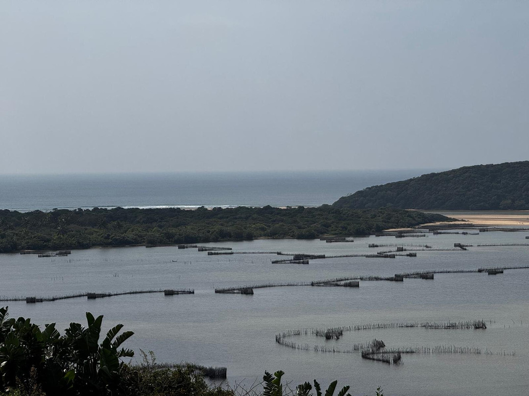 Endless Summer Tours-德班必去景点