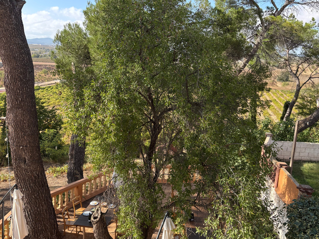 Bodega Vera de Estenas-Utiel必去景点