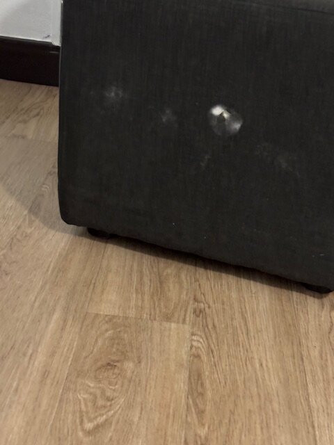 SpringHill Suites by Marriott Charleston Riverview主图