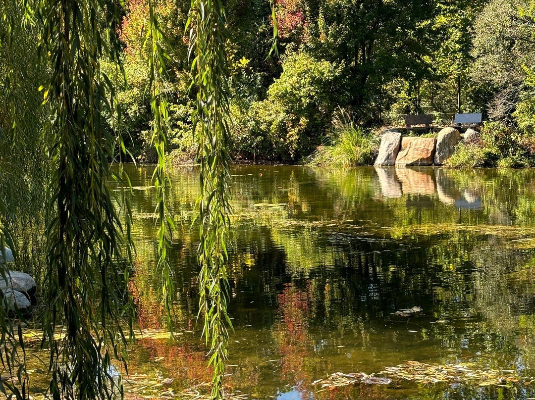 Wellfield Botanic Gardens-埃尔克哈特必去景点