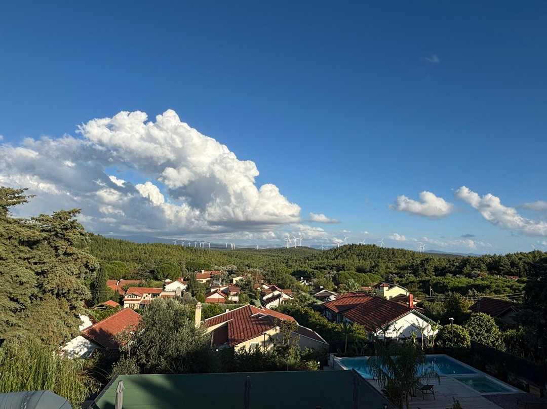 The Ascents Of Urla