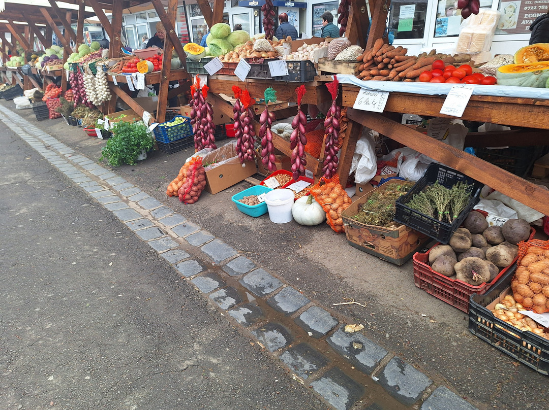 Cibin Market-锡比乌必去景点