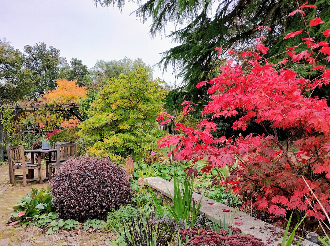 Green Island Gardens-Ardleigh必去景点