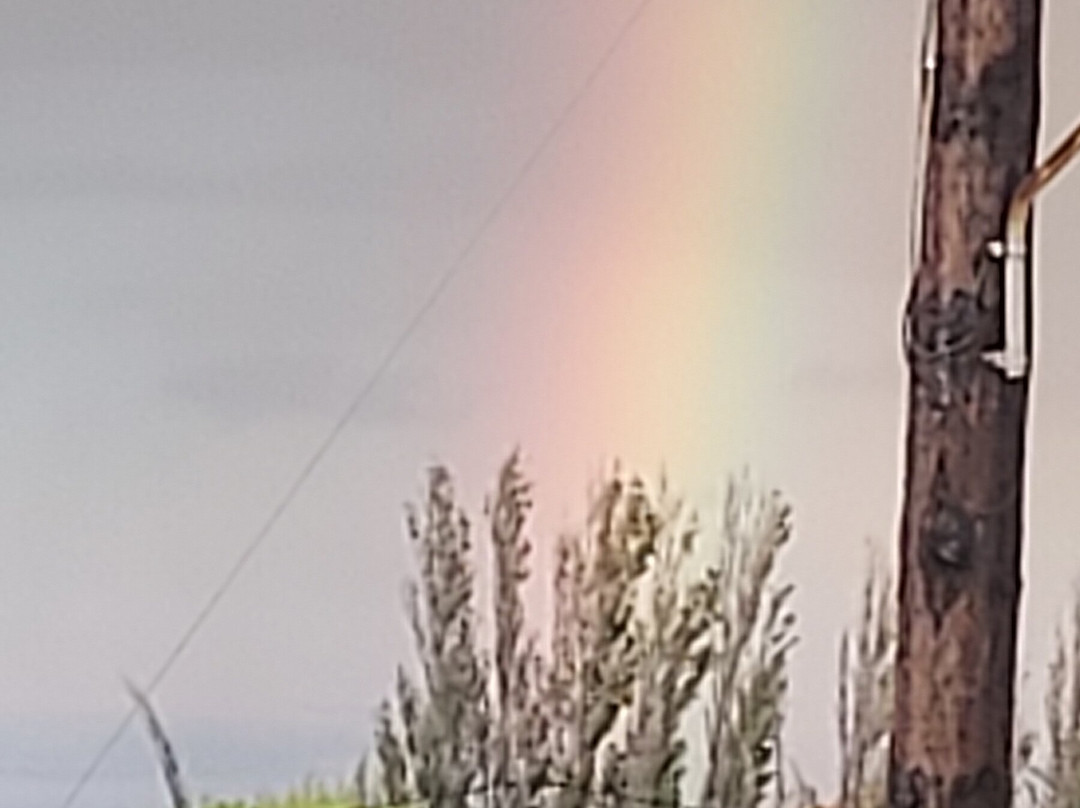 Bernie's Inn @ Bay Bar-提斯里菲必去景点