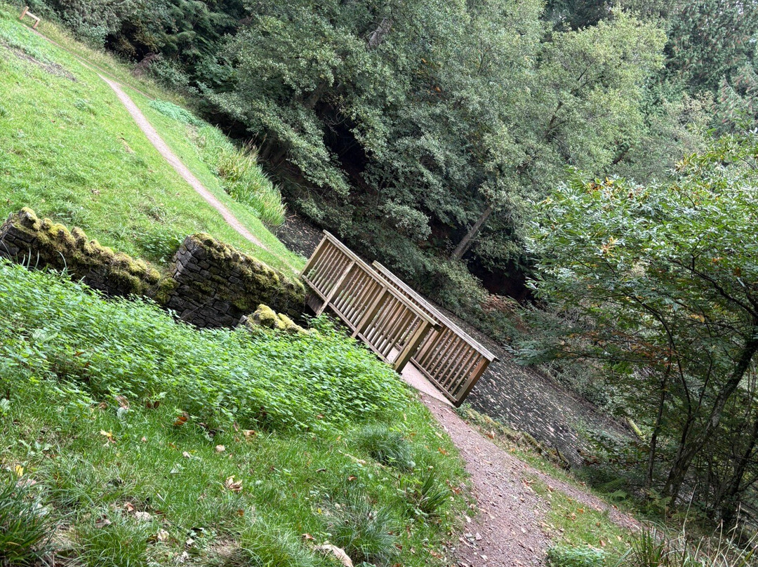 Soudley Ponds-Soudley必去景点