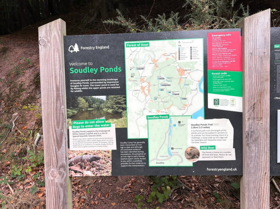 Soudley Ponds-Soudley必去景点