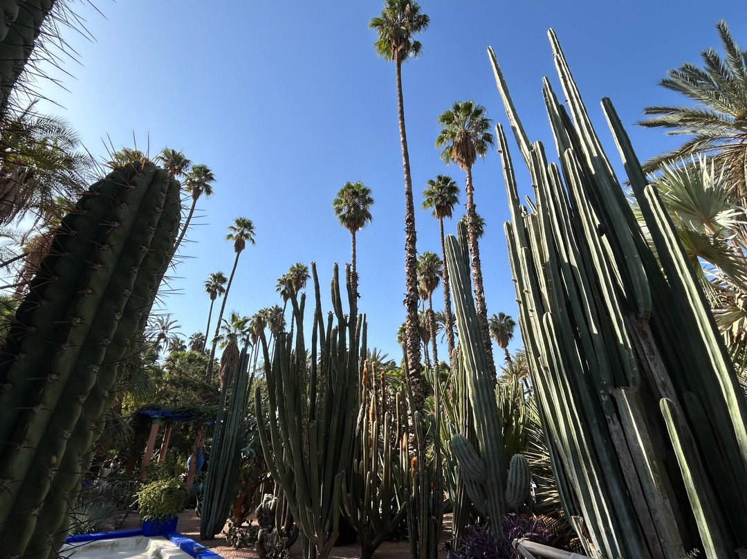 Morocco DailyXplore Tours-卡萨布兰卡必去景点