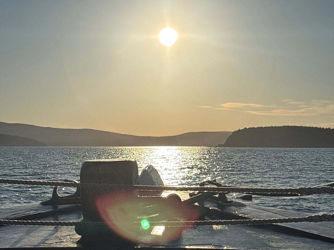 Downeast Windjammer Cruises Lines-巴港必去景点