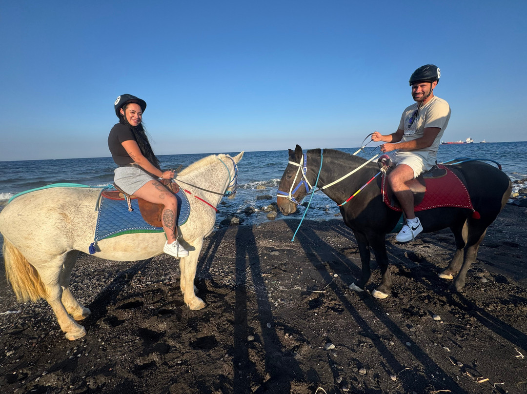 Maris Horseriding Santorini-费拉必去景点