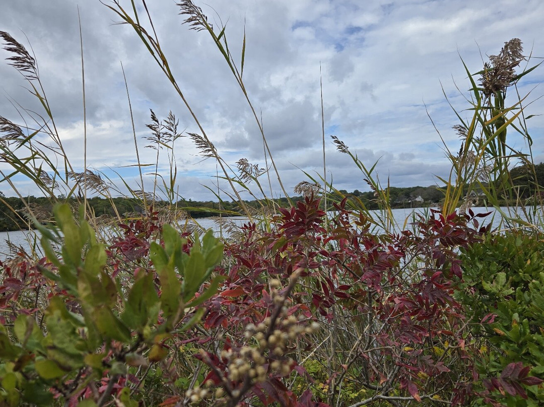 Shining Sea Bikeway-法尔茅斯必去景点