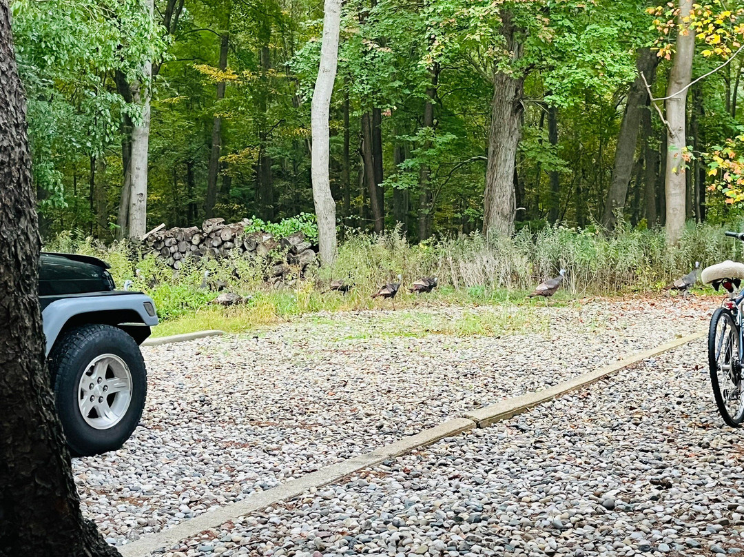 4411 Inn & Suites主图