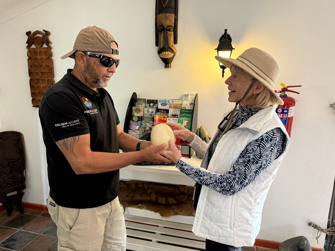 Escape to the Cape Sightseeing Tours-Rondebosch必去景点