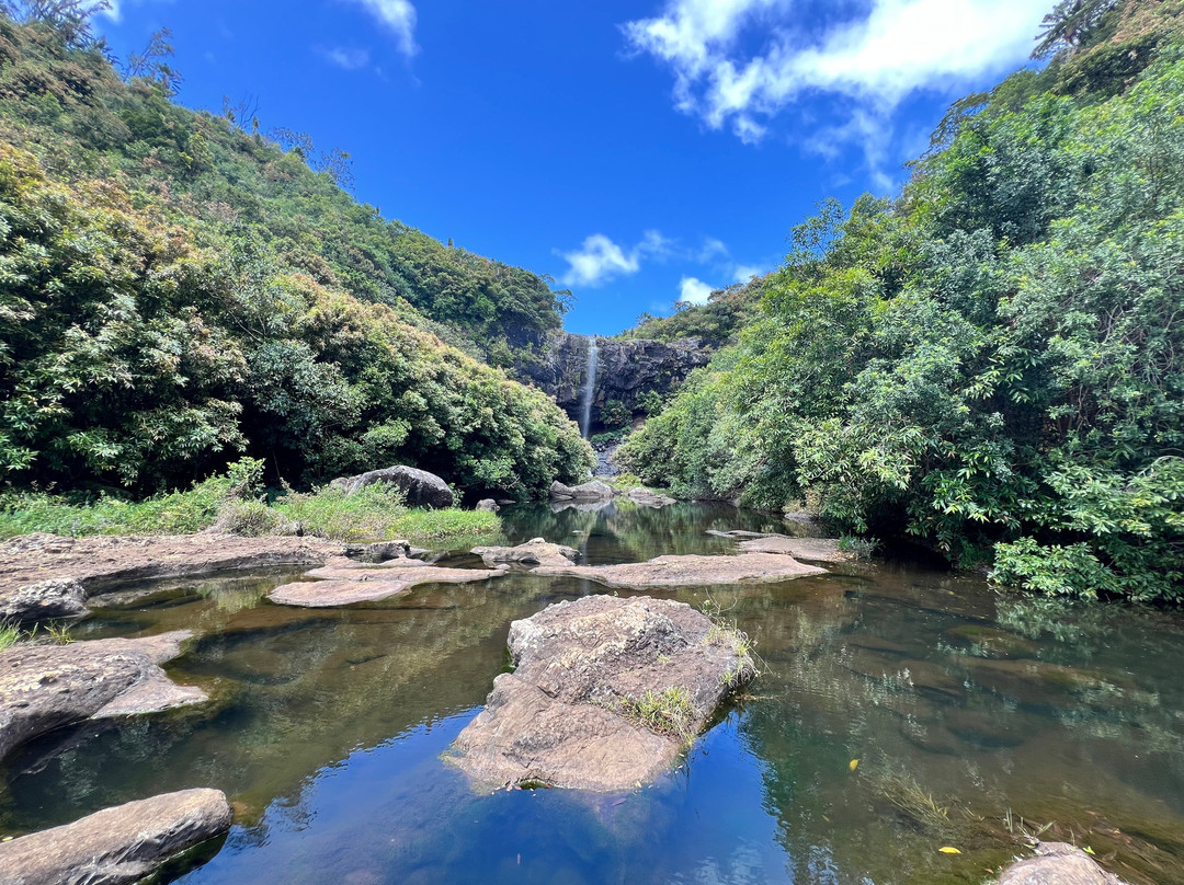 Tamarind Falls-Vacoas-Phoenix必去景点
