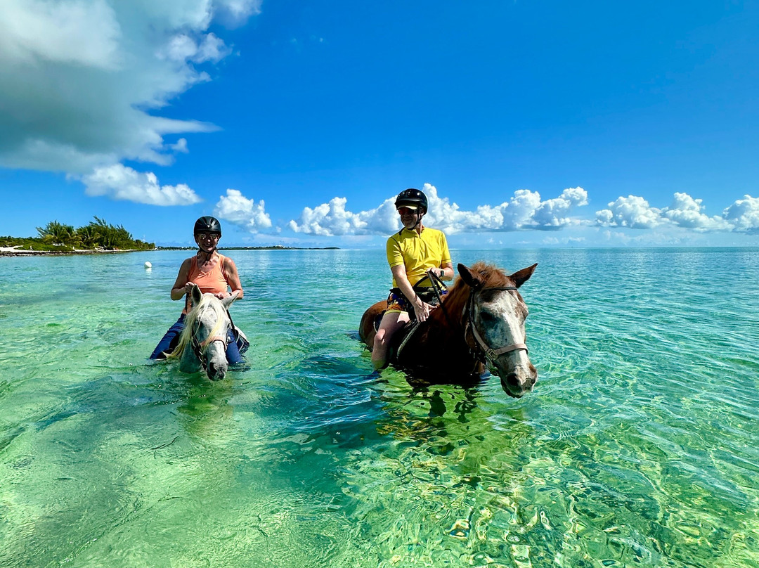 Provo Ponies-Long Bay Hills必去景点