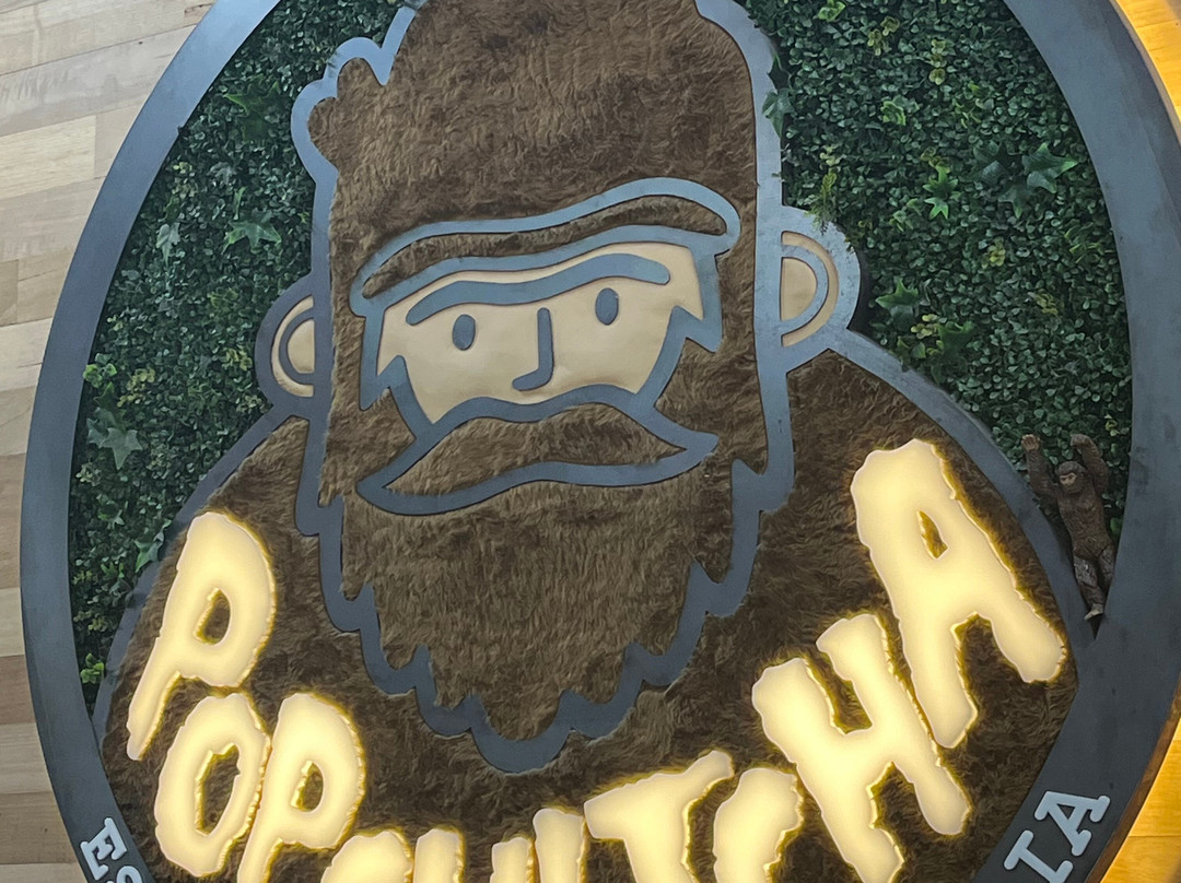 Popcultcha Collectors Gallery-North Geelong必去景点