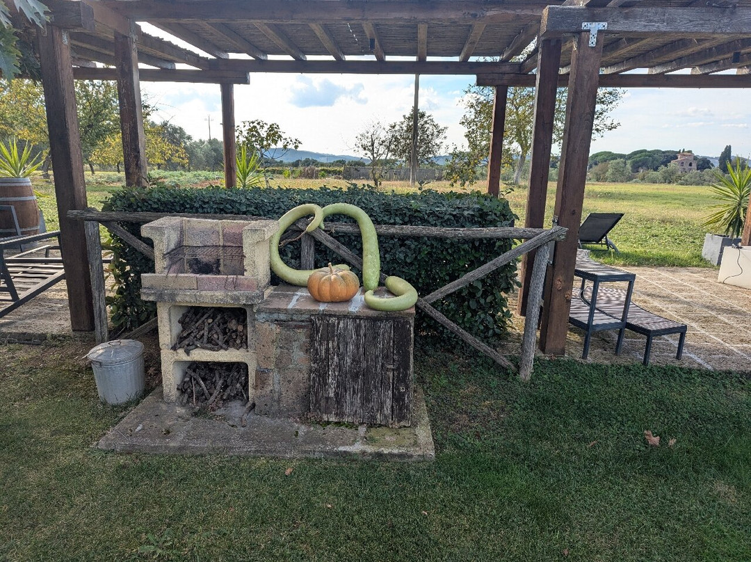 Agriturismo La Dependance主图