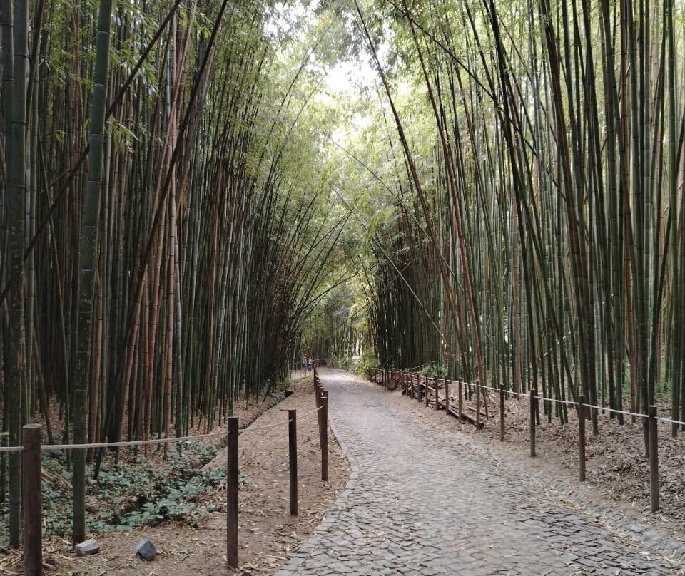Jardim Botanico-科英布拉区必去景点