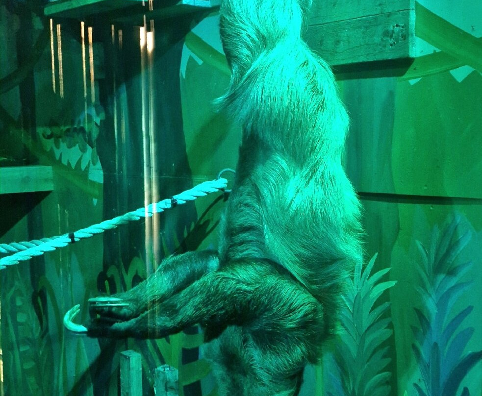 Wild Discovery-普雷斯顿必去景点