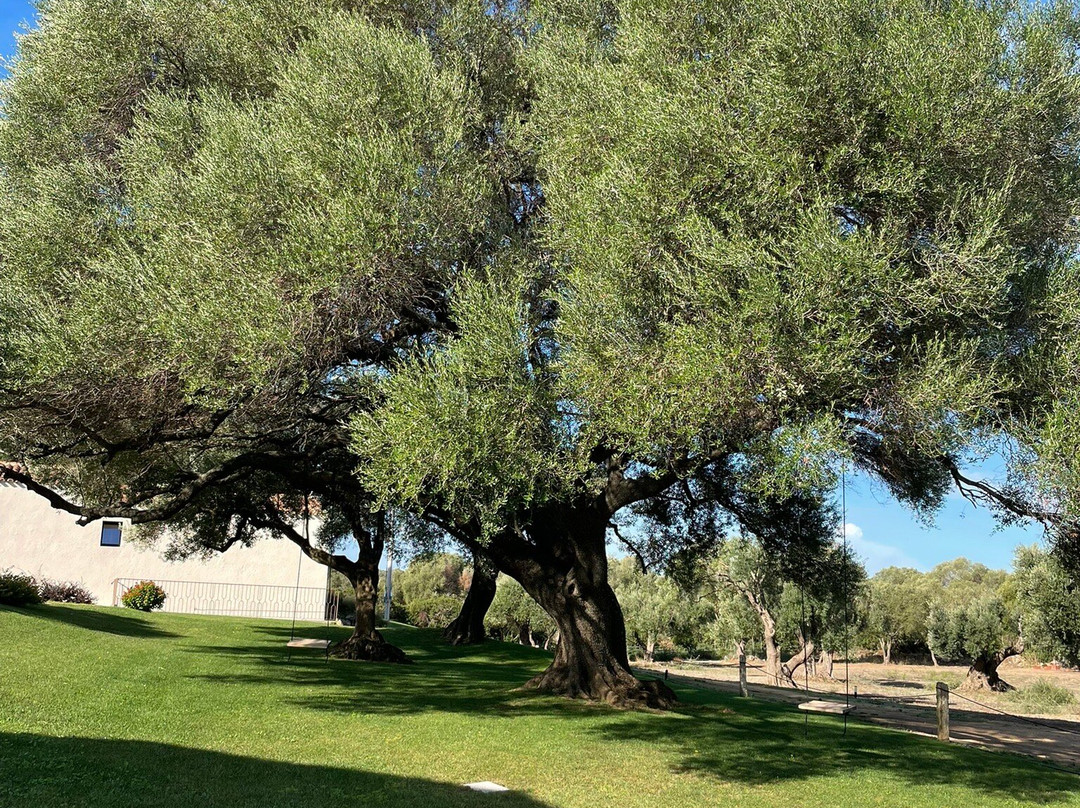 B & B Uddastri Retreat主图