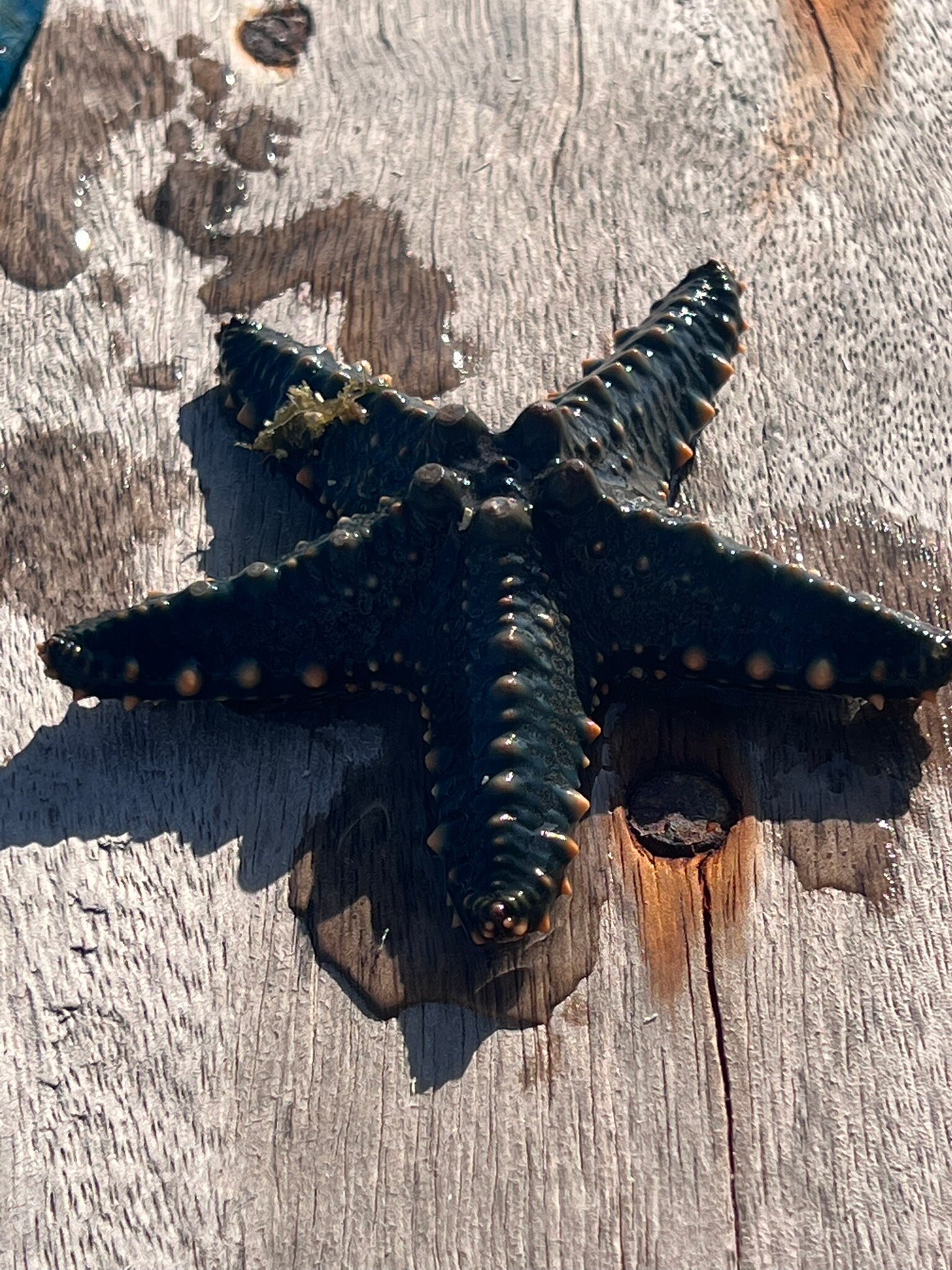 Villa Kiva Boutique Hotel-官方