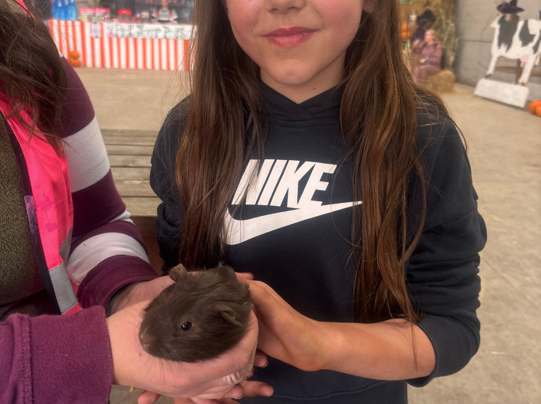 The Green Barn Farm Shop & Cafe-Benfleet必去景点