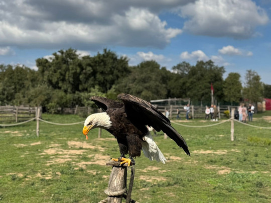 Roma World-罗马必去景点