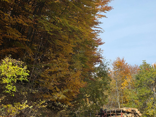 Montenegro Limo-Tivat必去景点