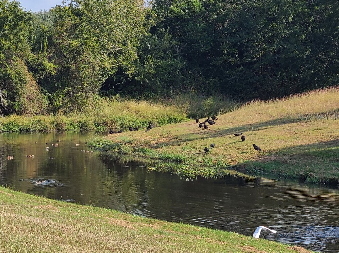 Shadow Creek Ranch Nature Trail-皮尔兰必去景点