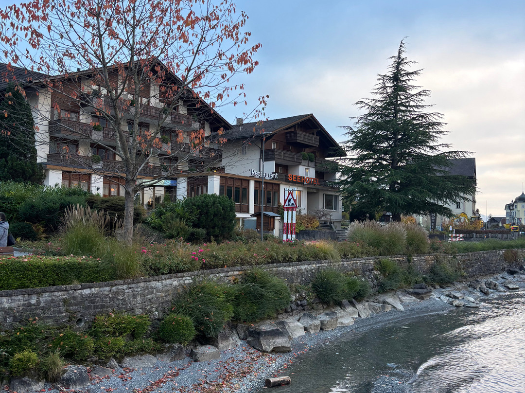 Seehotel Bonigen主图