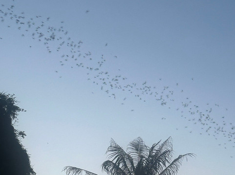 Cambodia Private Transport-马德望必去景点
