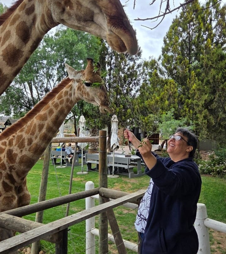 Chandelier Game Lodge & Ostrich Show Farm-奥兹洪必去景点