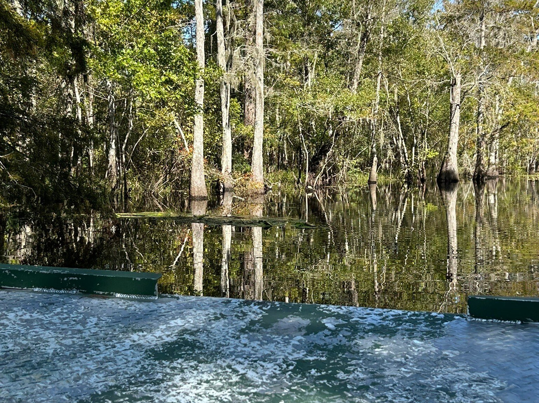 Beyond the Bayou-新奥尔良必去景点