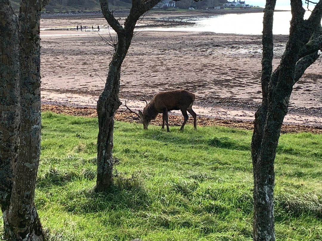 Hire a Motorhome in Moray-Keith必去景点