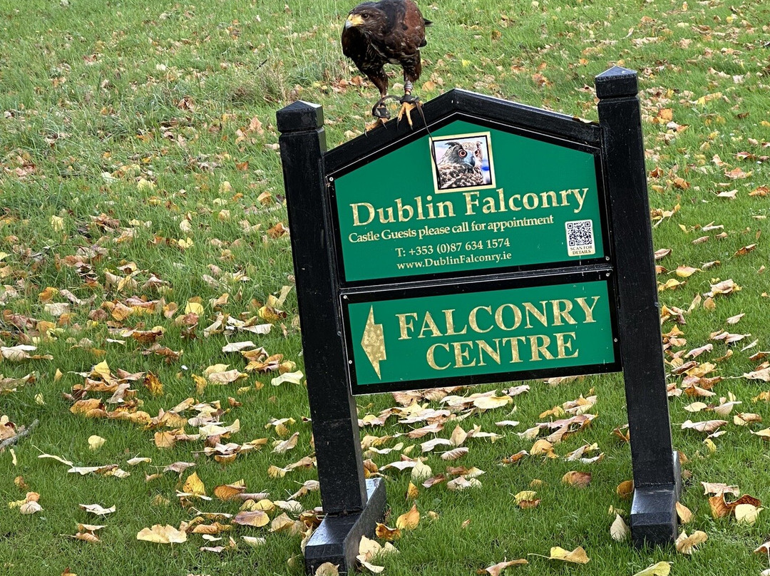 Dublin Falconry-Castleknock必去景点
