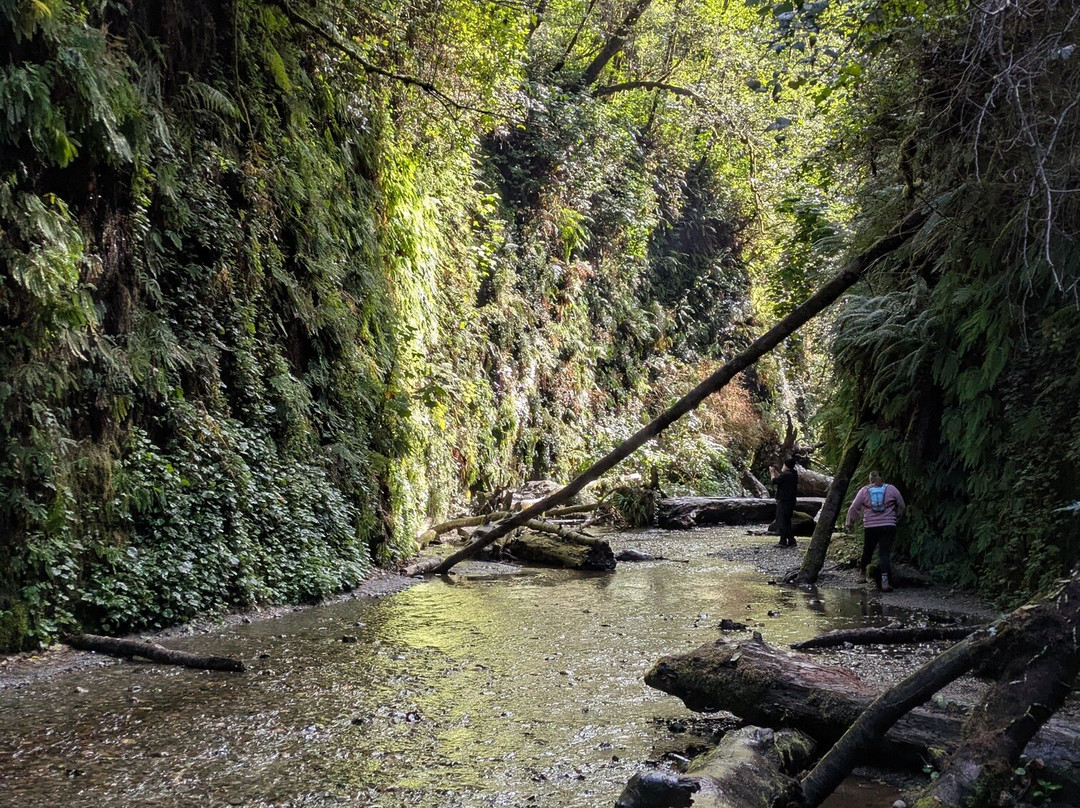 Fern Canyon-Orick必去景点