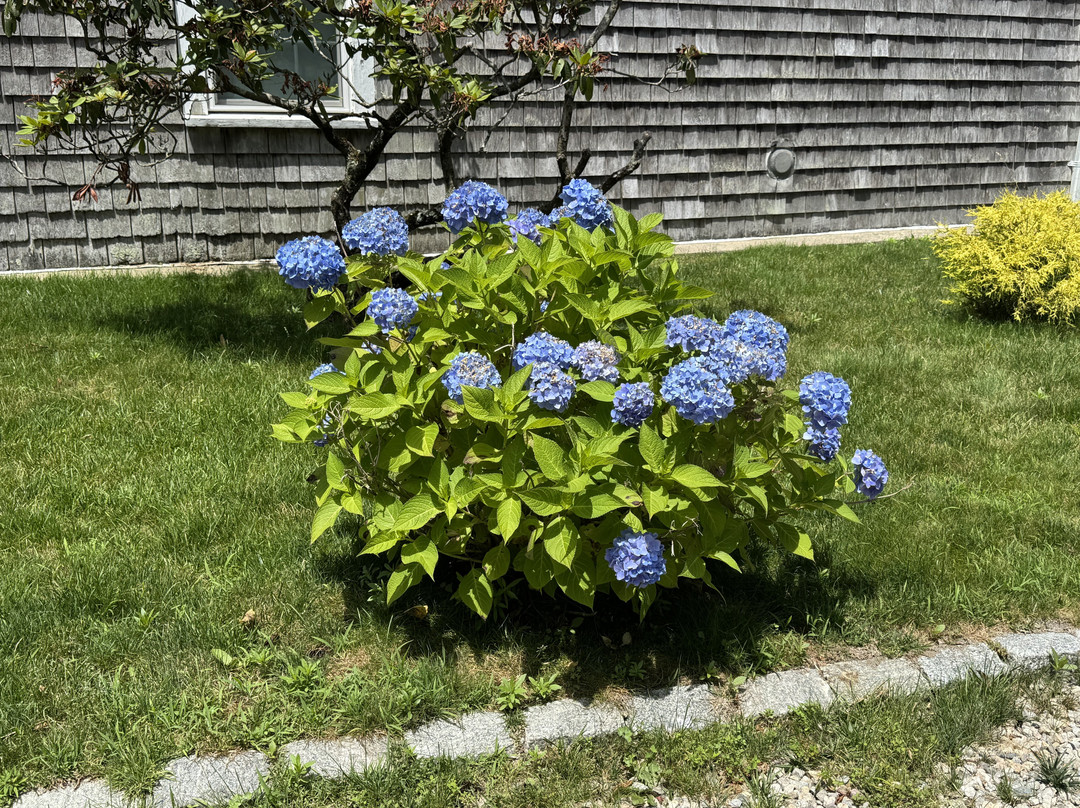 Palmer House Inn主图