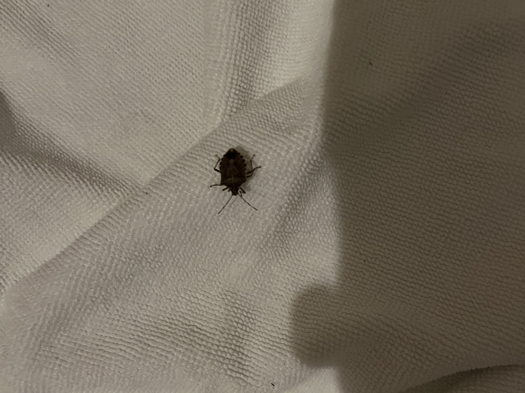 Appartementen Valkenburg主图