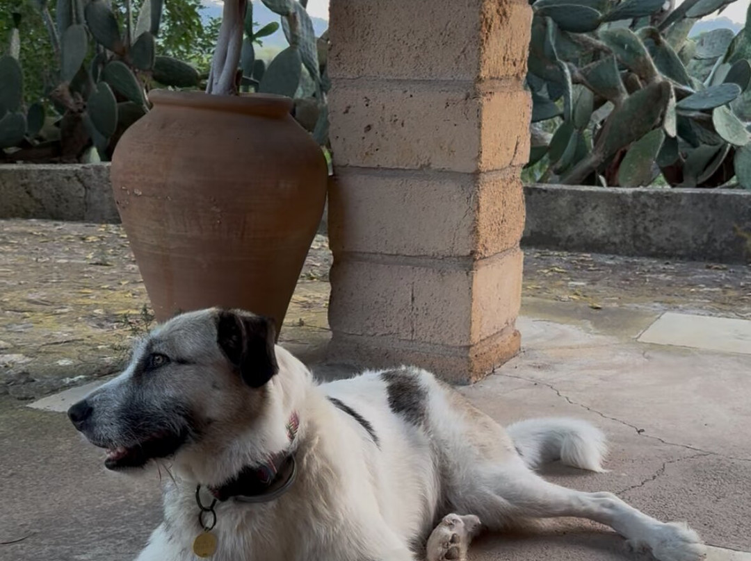 The Yoga Concept-克里斯托港必去景点