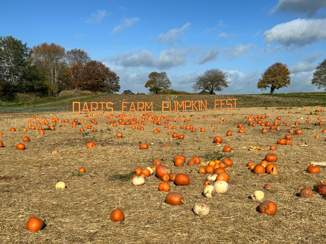 Darts Farm-Clyst Saint George必去景点