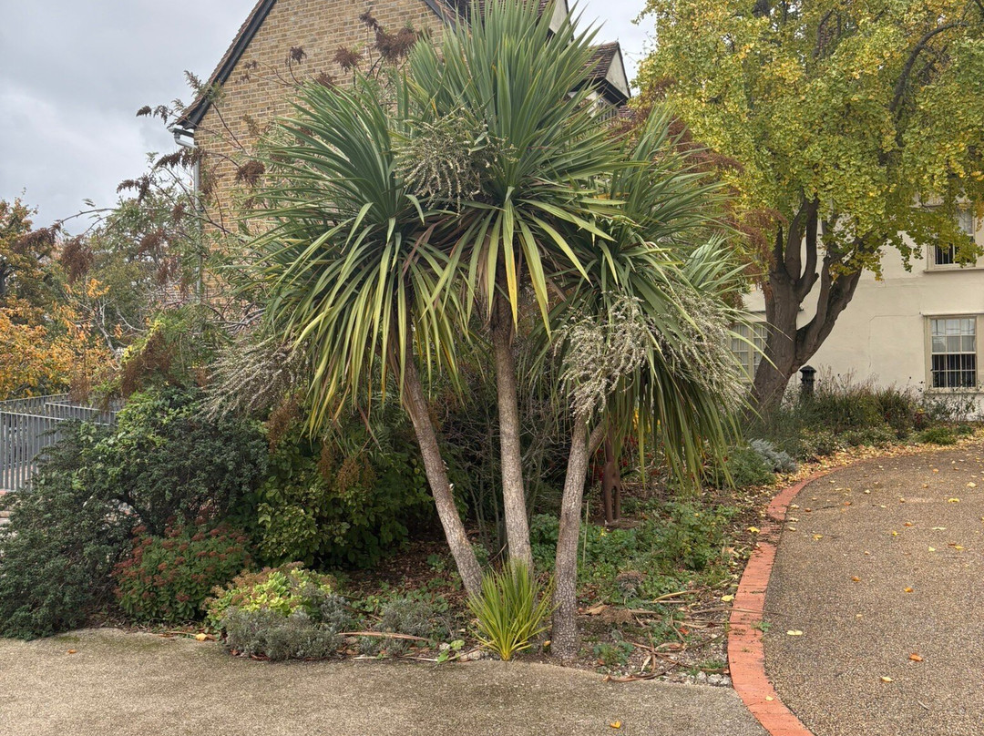 Valence House-Dagenham必去景点