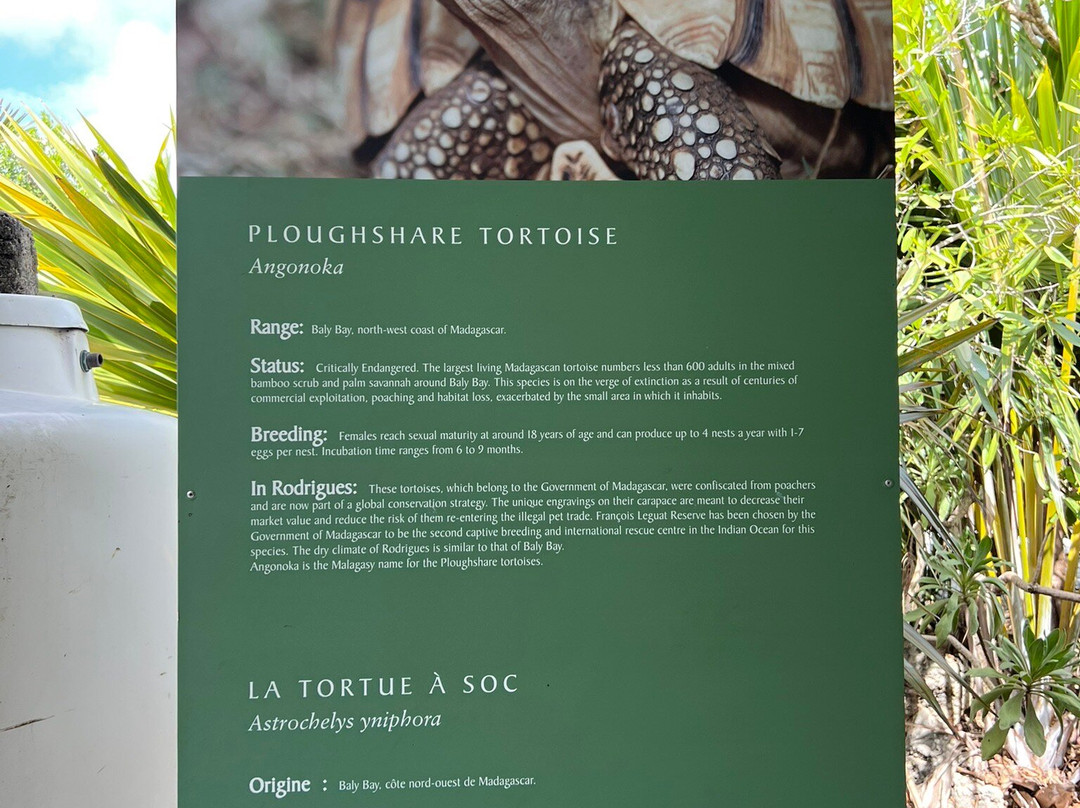 Francois Leguat Reserve-罗德里格斯岛必去景点